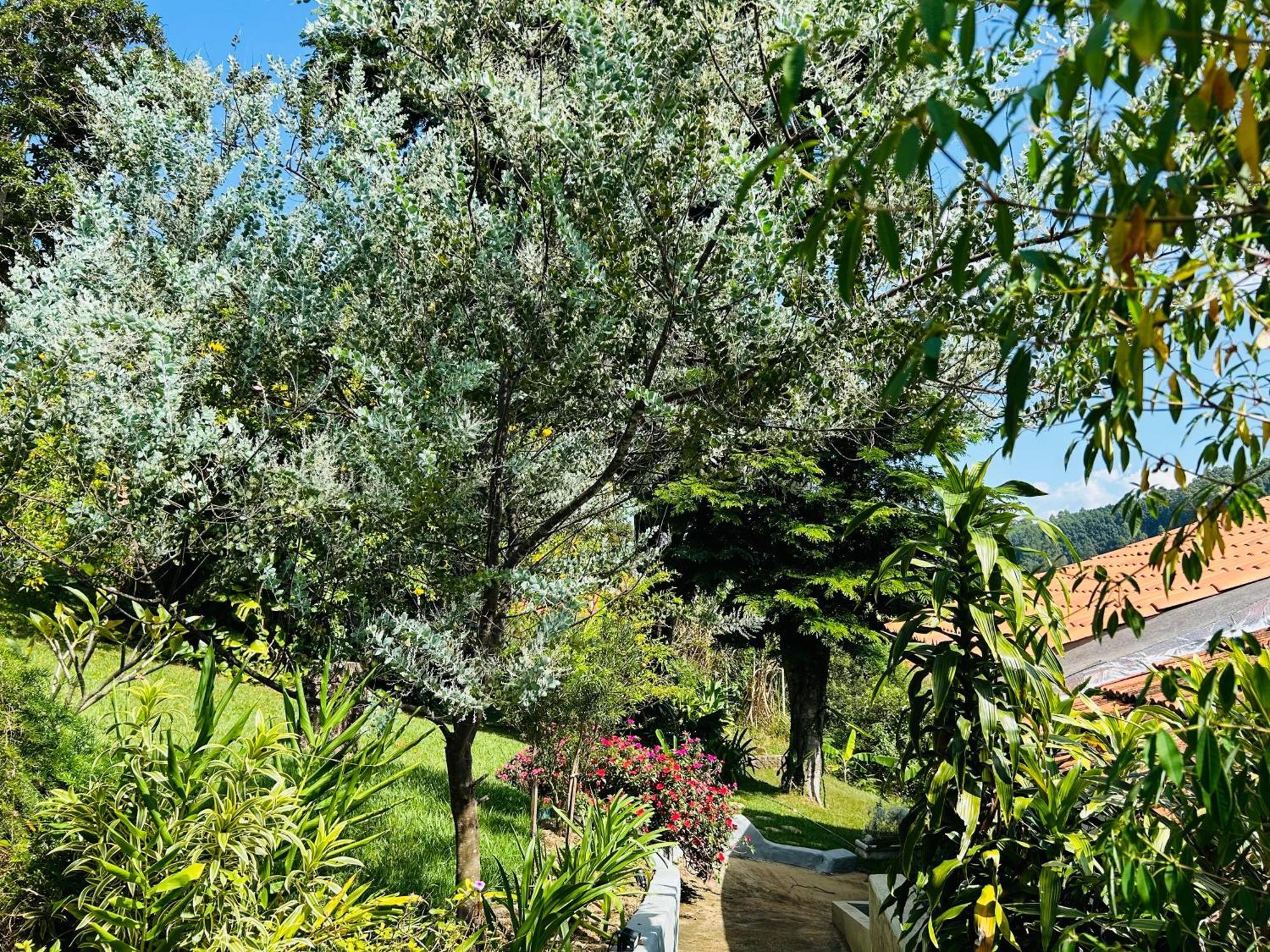 Villa Garibaldi Joanópolis Dış mekan fotoğraf